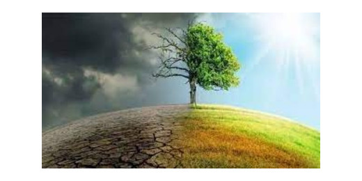 रिसर्च : 2030 तक लग सकती है ग्लोबल वार्मिंग पर लगाम
